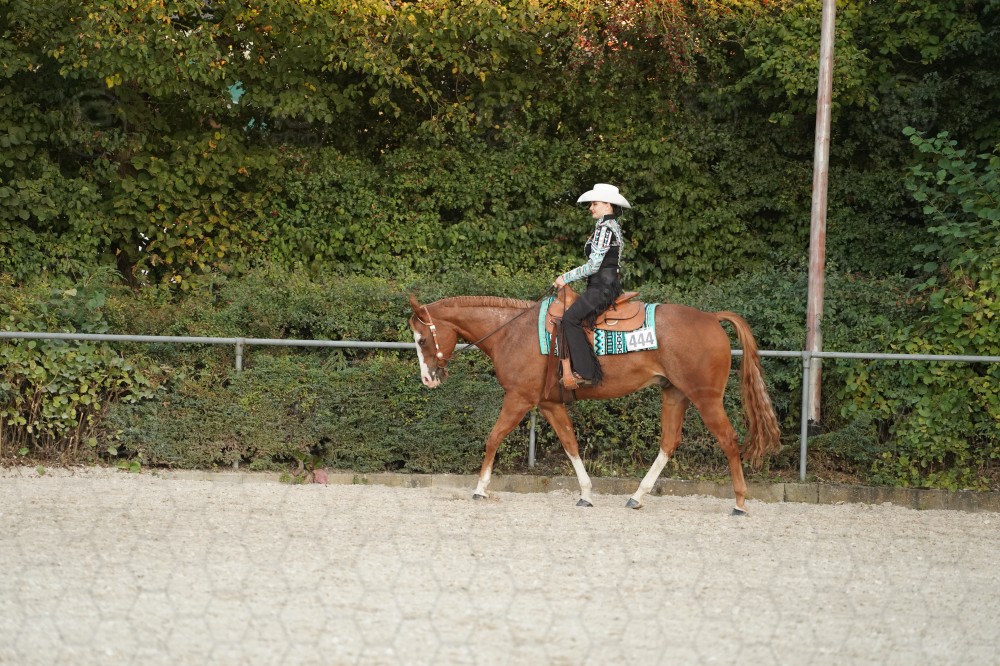 s_A_907002.JPG